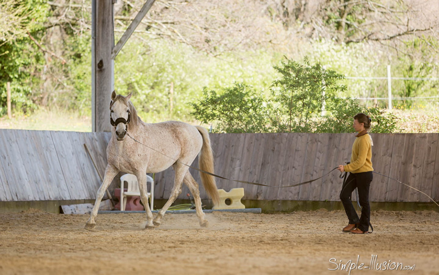 And if we listened to the horses: 2-day equestrian course