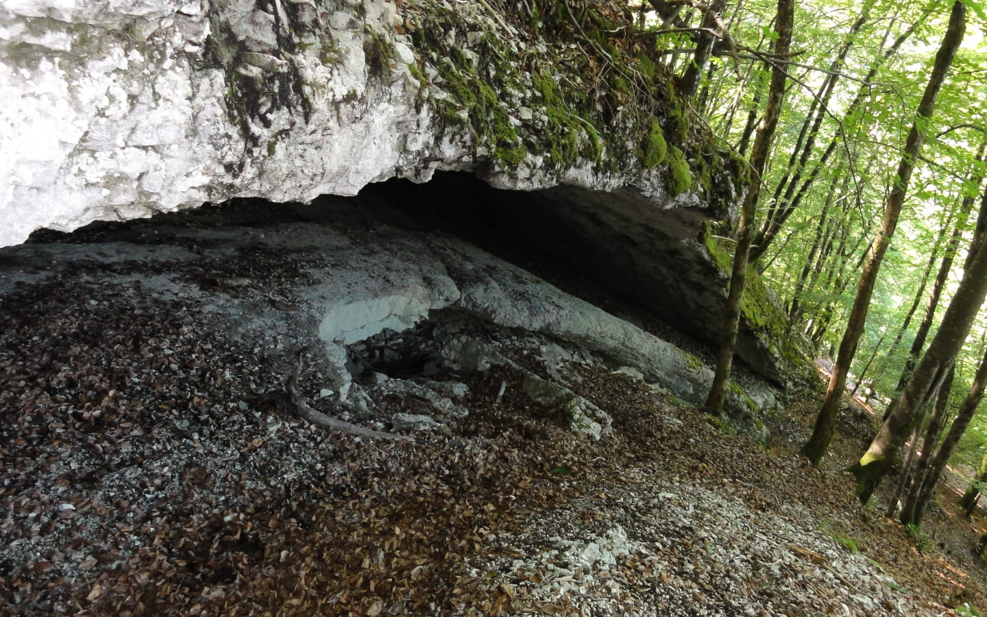 La Grotte des Sarrazins