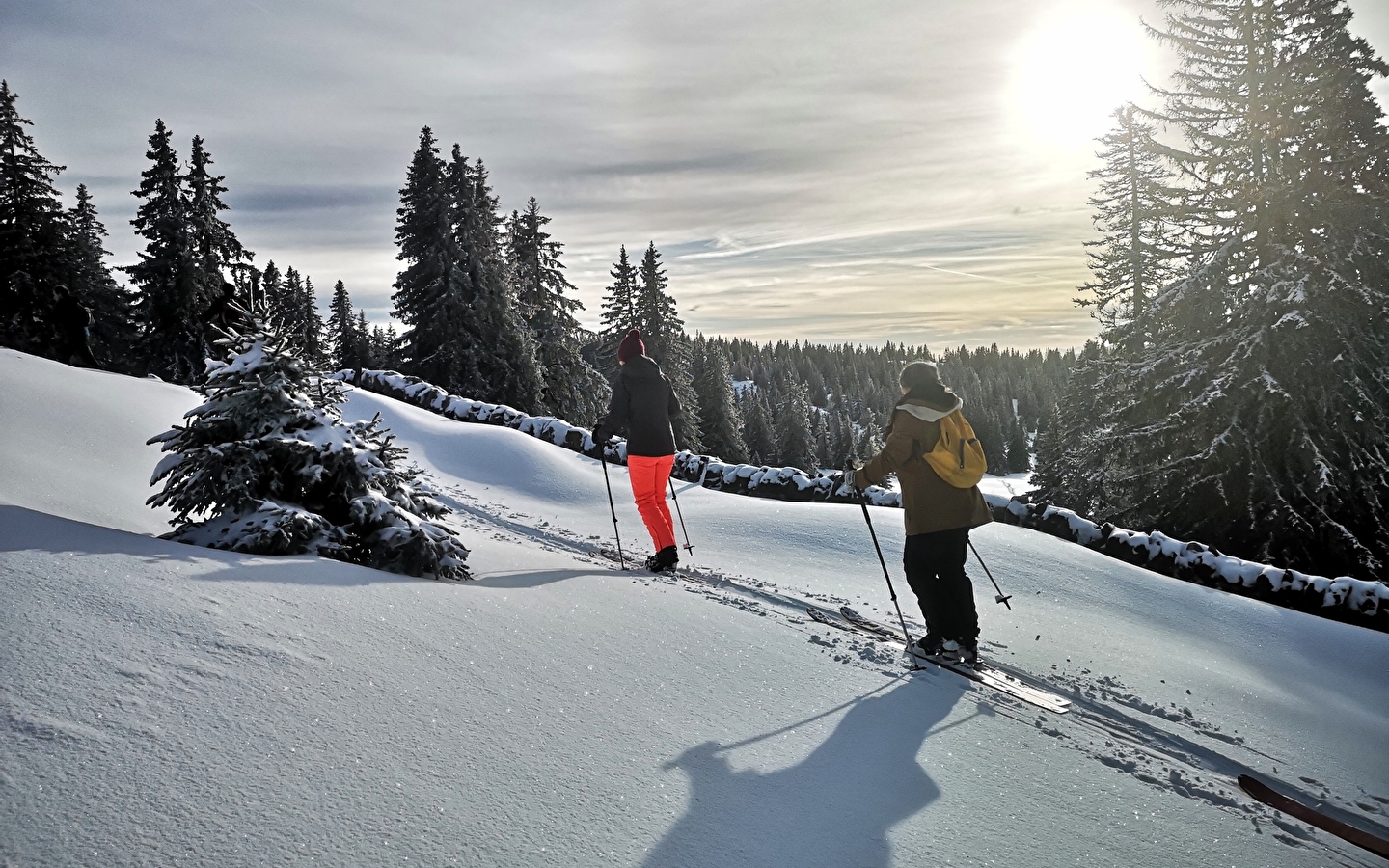 Introduction to cross-country skiing 