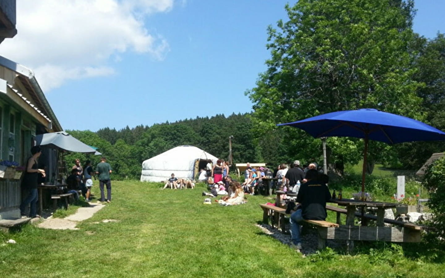 Visit to the mountain pastures with the shepherd and midday snack at the chalet