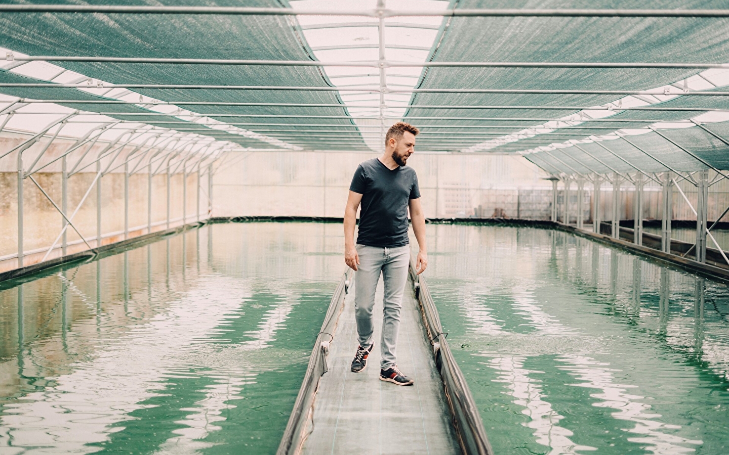 Les Bassins Fermiers 