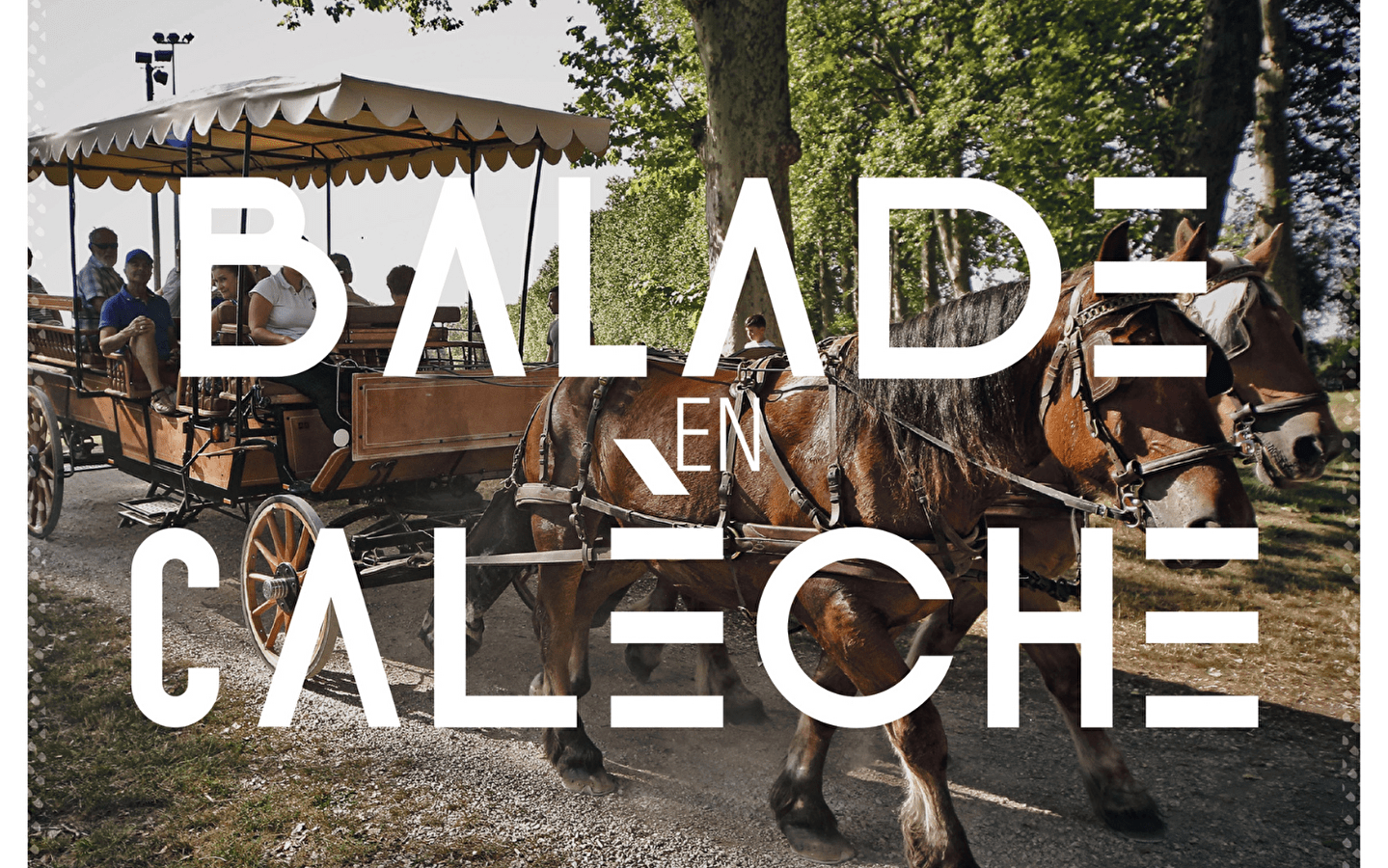Horse-drawn carriage ride