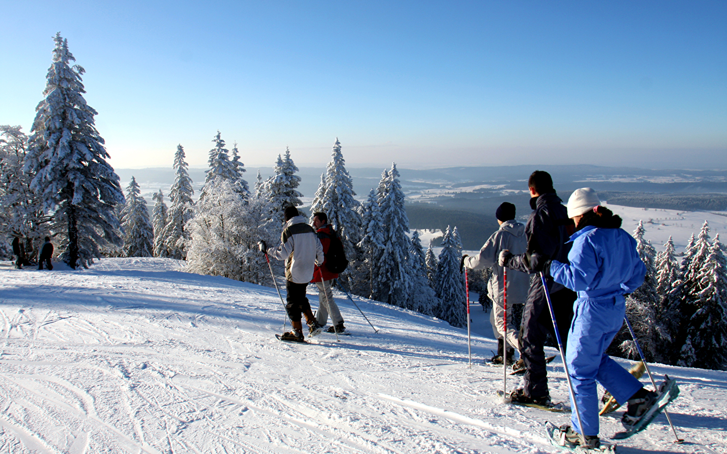 Family snowshoe hikes: the forest in all its forms