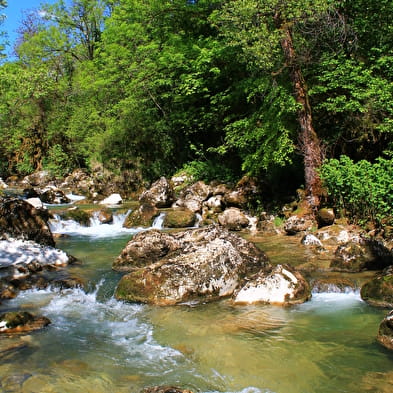 Pêche sur l'Albarine