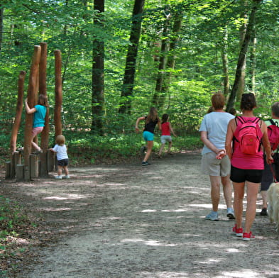 Forêt domaniale de Seillon, ENS de l'Ain