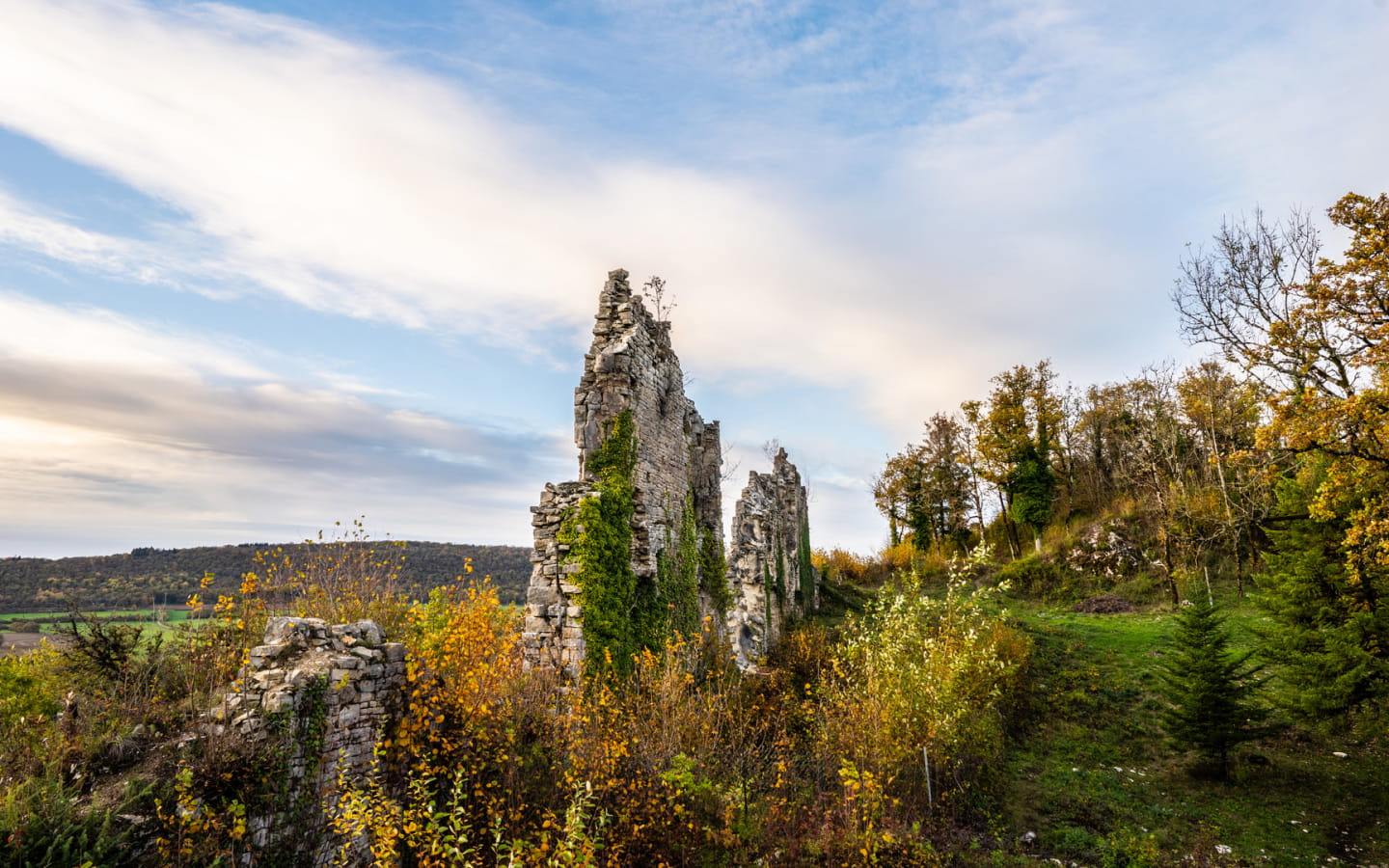 Vestiges du château de la Tour-du-Meix