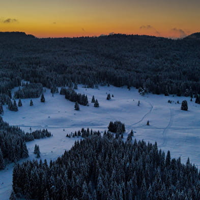 La Prairie - Piste bleue de ski nordique