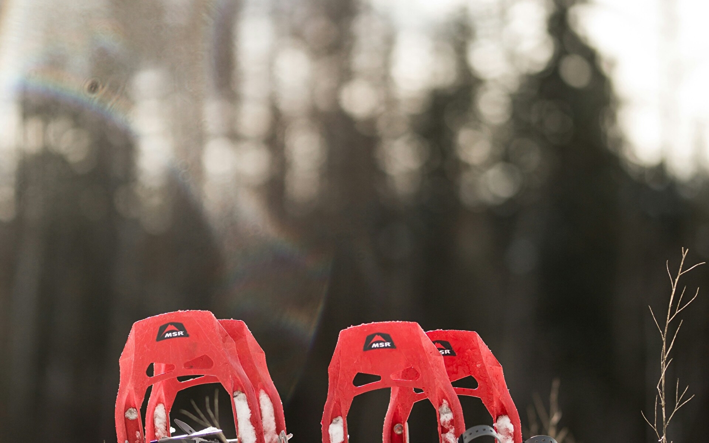 Haut-Jura ski school - La Pesse: Snowshoe nights