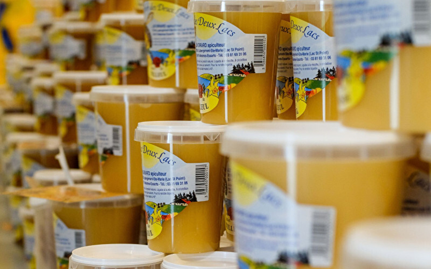 Guided tour of the Rucher des 2 Lacs