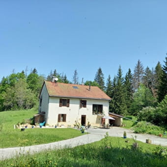 Au Goulet - location dans maison - P812PAG00 - PREMANON
