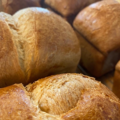 Boulangerie Panifico