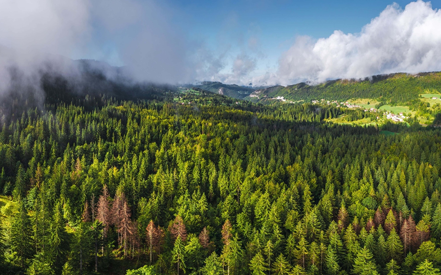 Le tour des savoir-faire - Cycle route 07