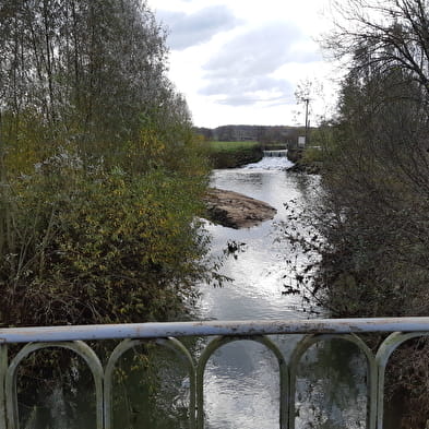 Beaupont - Etang Les Baisses (VTT)