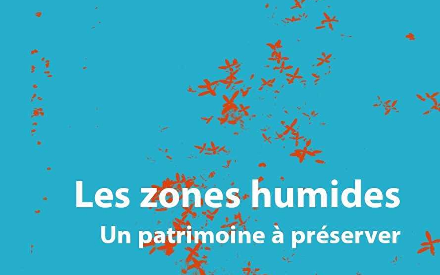 Exposition 'Les zones humides' à la Fourmi Verte