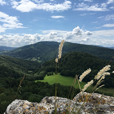 Circuit de Brisepoutot Batterie des Roches