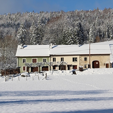 Gîte n°G879