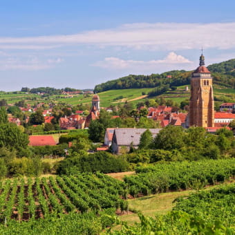 ARBOIS - ARBOIS