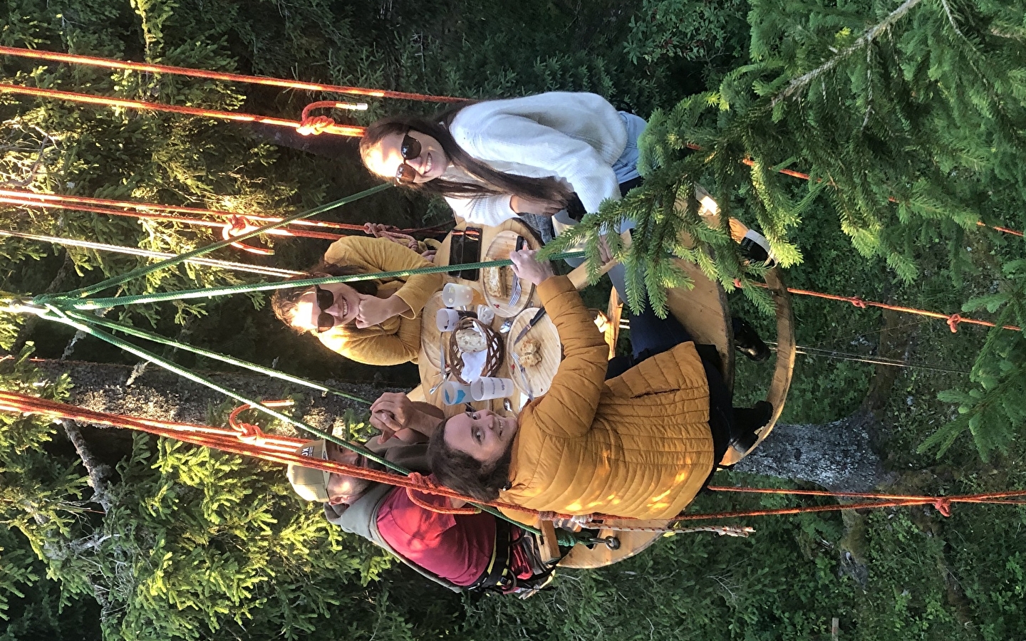 Symbiose Forêt