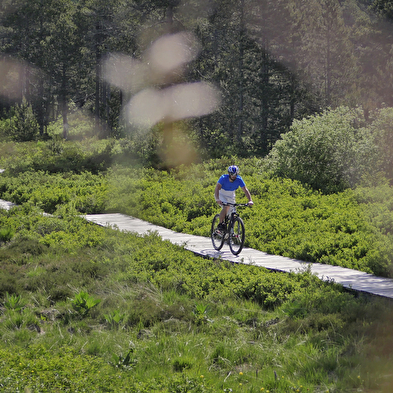 Autumn Walking/Well-being Stay