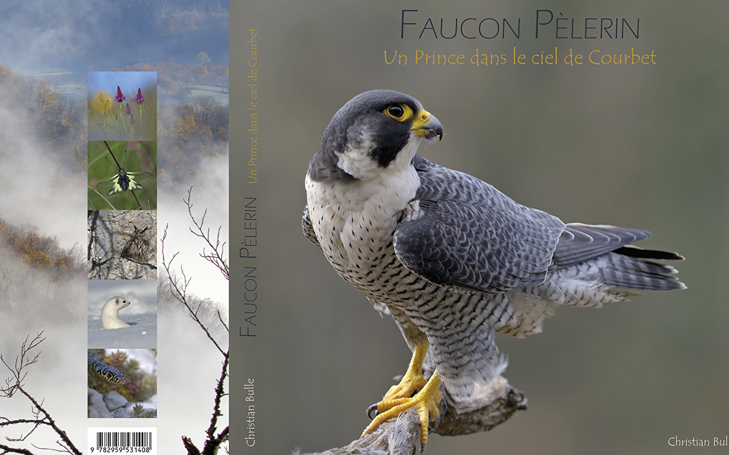 Exhibition/sale of wildlife photos - Christian Bulle: 'Entre Loue et Lison, la nature sur un plateau' - Book-signings