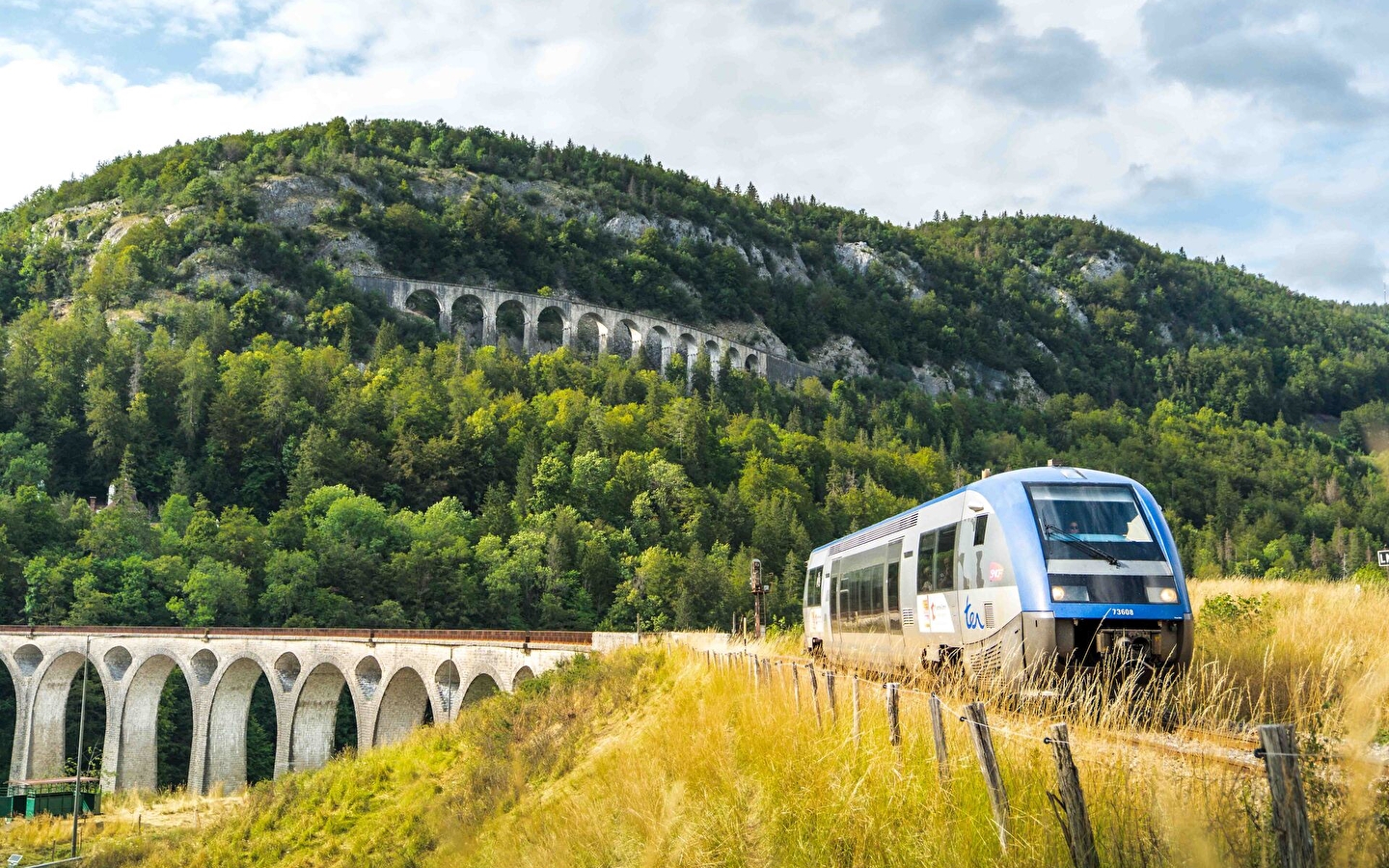 Accompanied group excursion - Ligne des Hirondelles