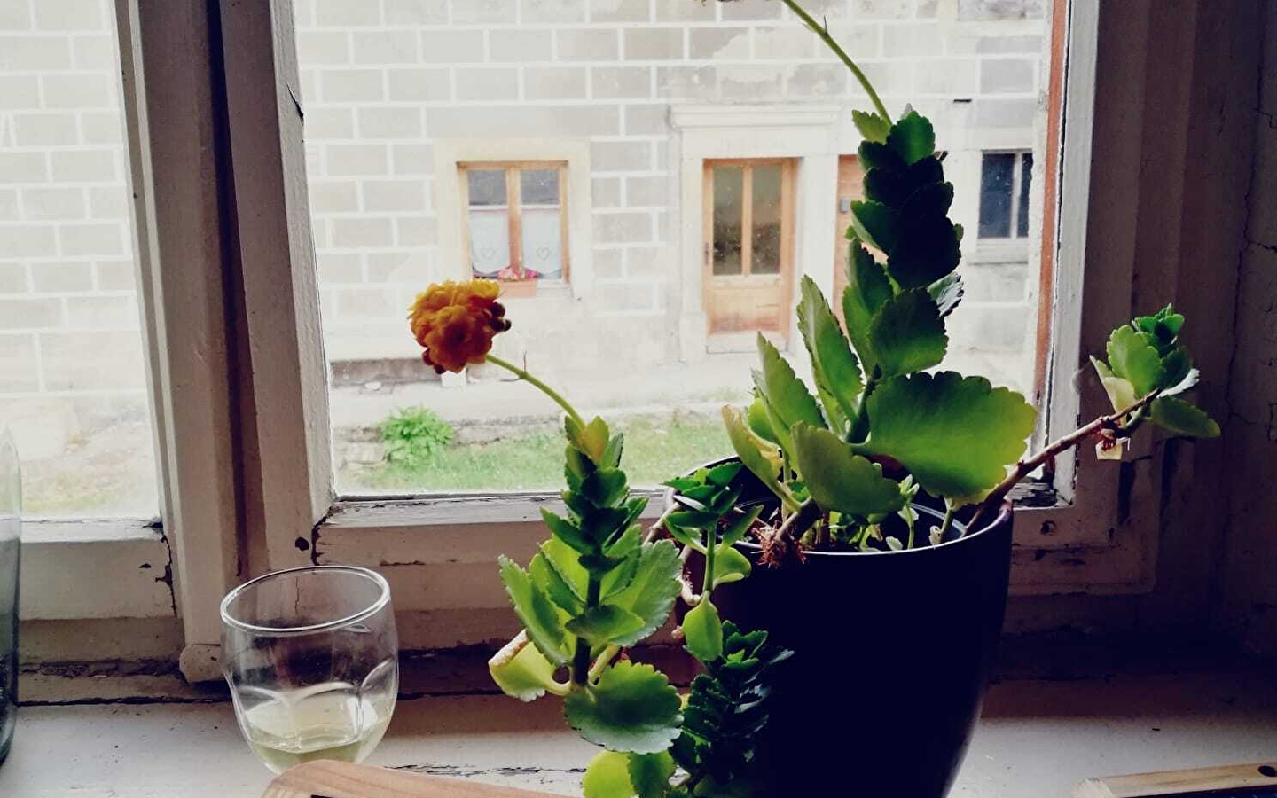 Introduction to harmonic and diphonic singing