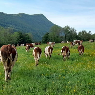 Visite de la ferme du Ban du Char