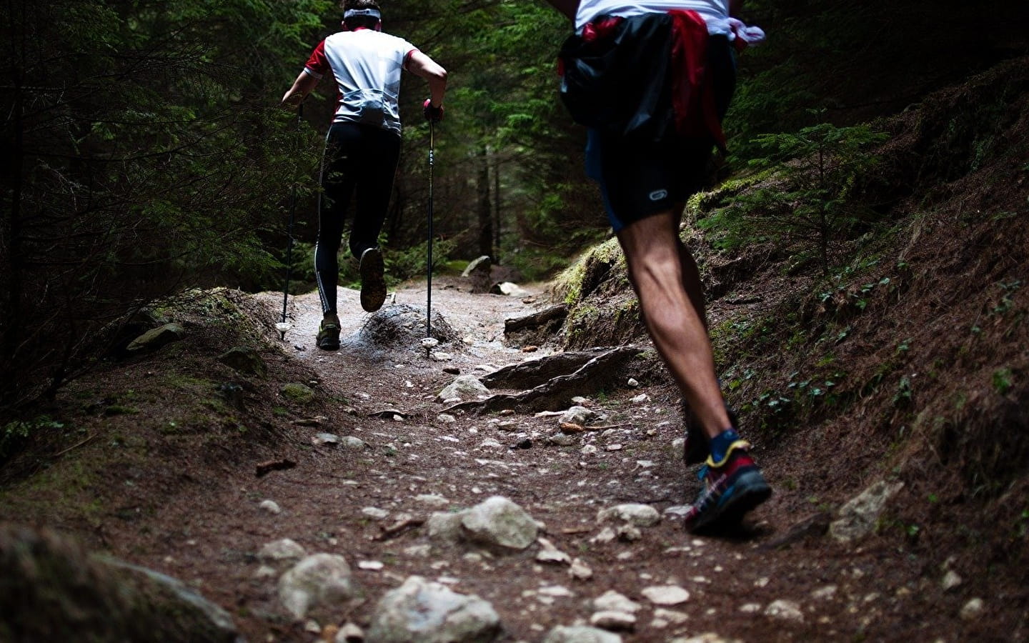 Saut du Doubs Trail