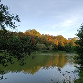 Princes Ponds circuit - SAINT-JULIEN-LES-MONTBELIARD