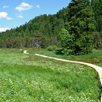 La Trémontagne - NANCHEZ