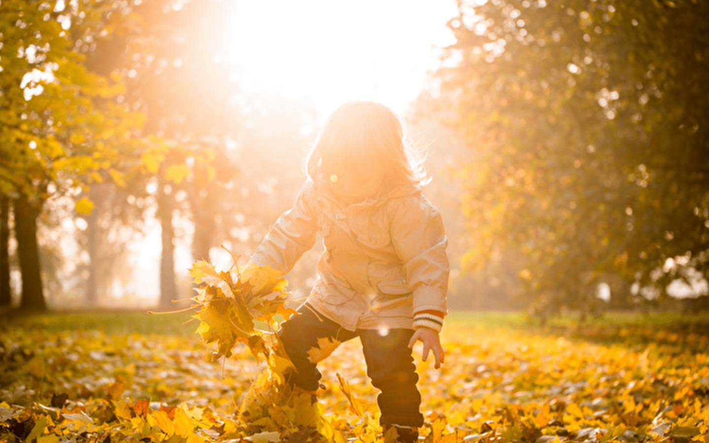 Pour les 4-7 ans : Trésors d'automne