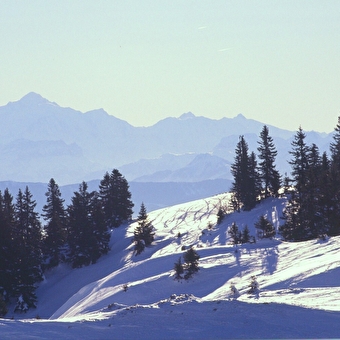 Randonnée crépusculaire sur les crêtes avec Francis - MIJOUX