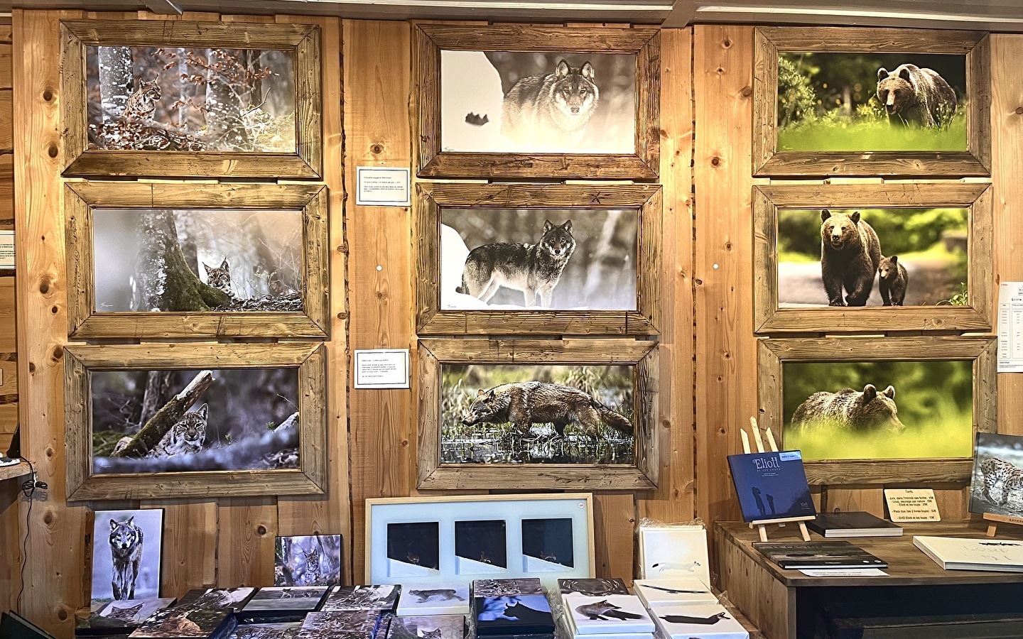 Nature/animal photo exhibition