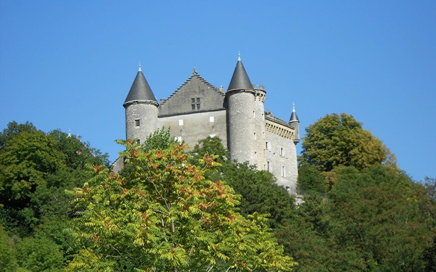 Château de Montveran