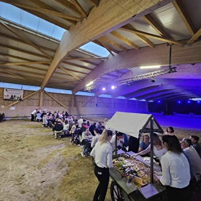 Dinner and horse show 