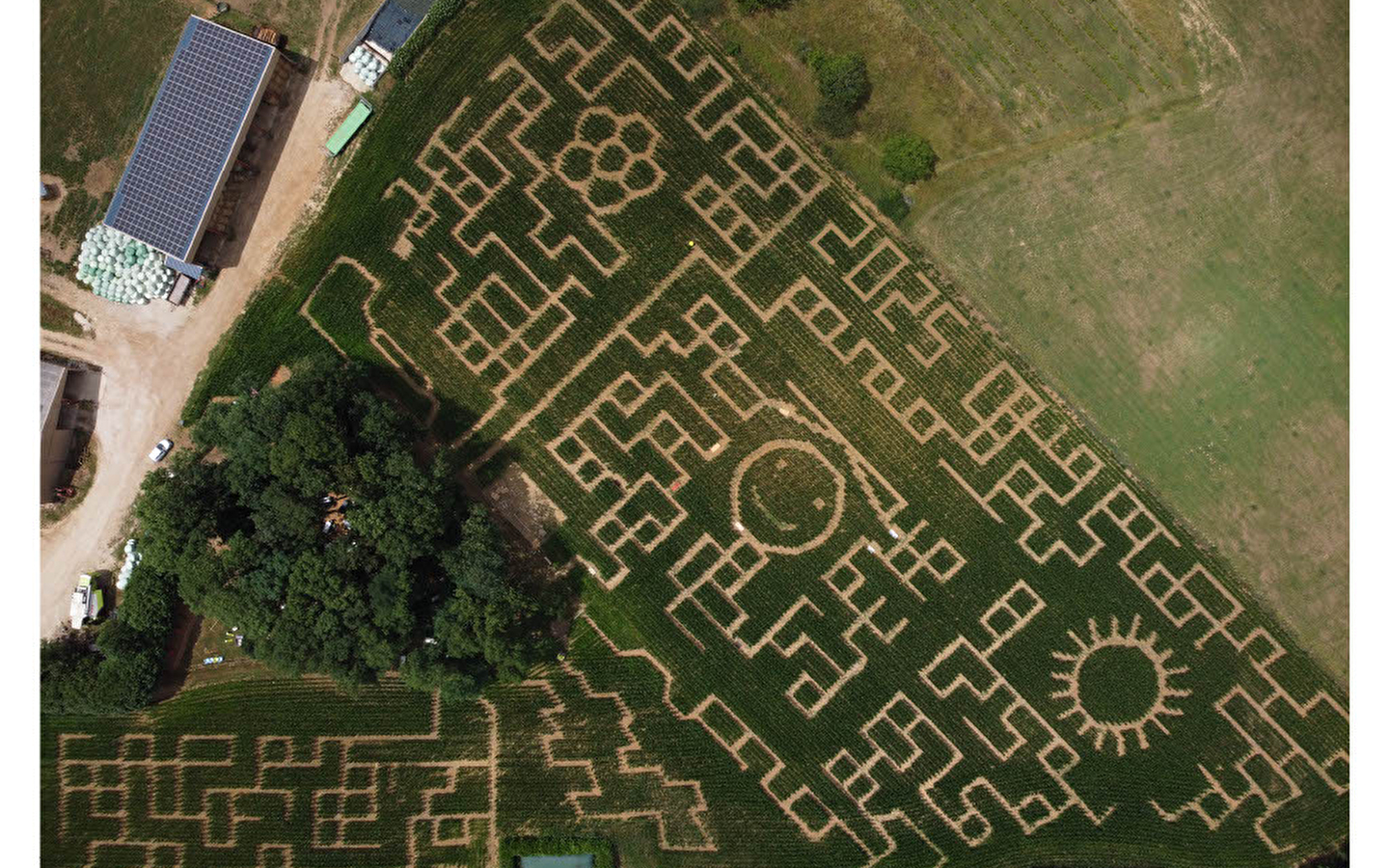 Labyrinthe de Maïs