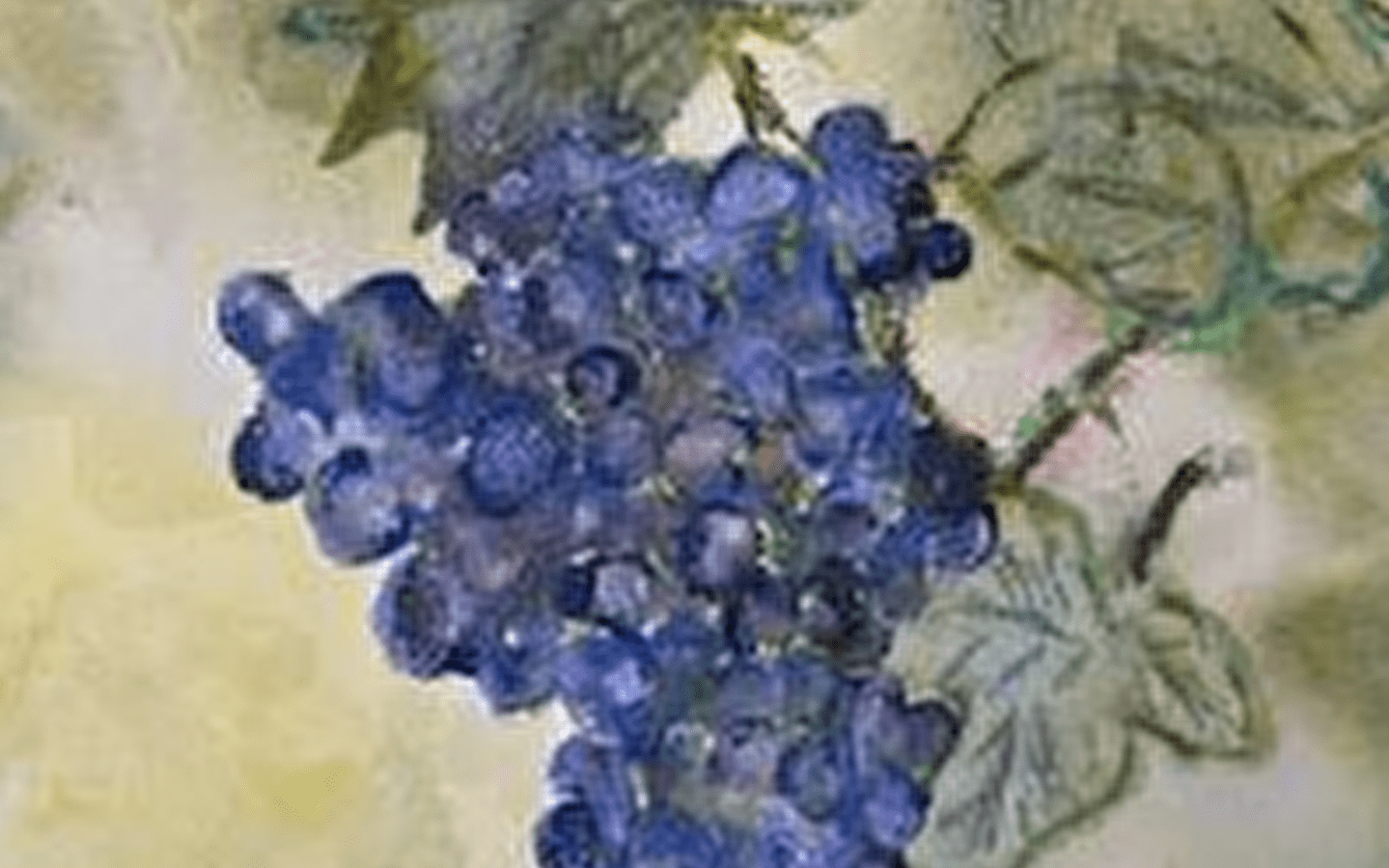 Voyage en aquarelles' exhibition