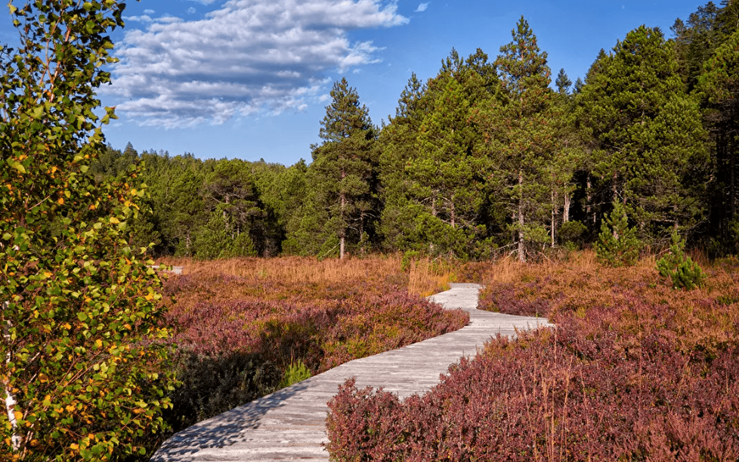 Autumn Walking/Well-being Stay