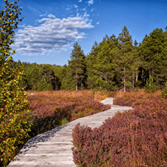 Autumn Walking/Well-being Stay -