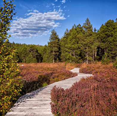 Autumn Walking/Well-being Stay