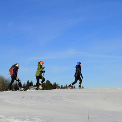 Nordic escapade at Chapelle des Bois