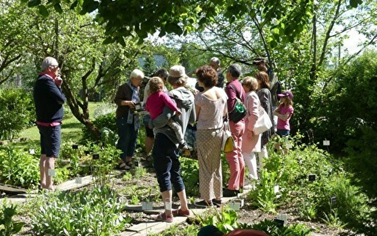 Visit to the priest's garden