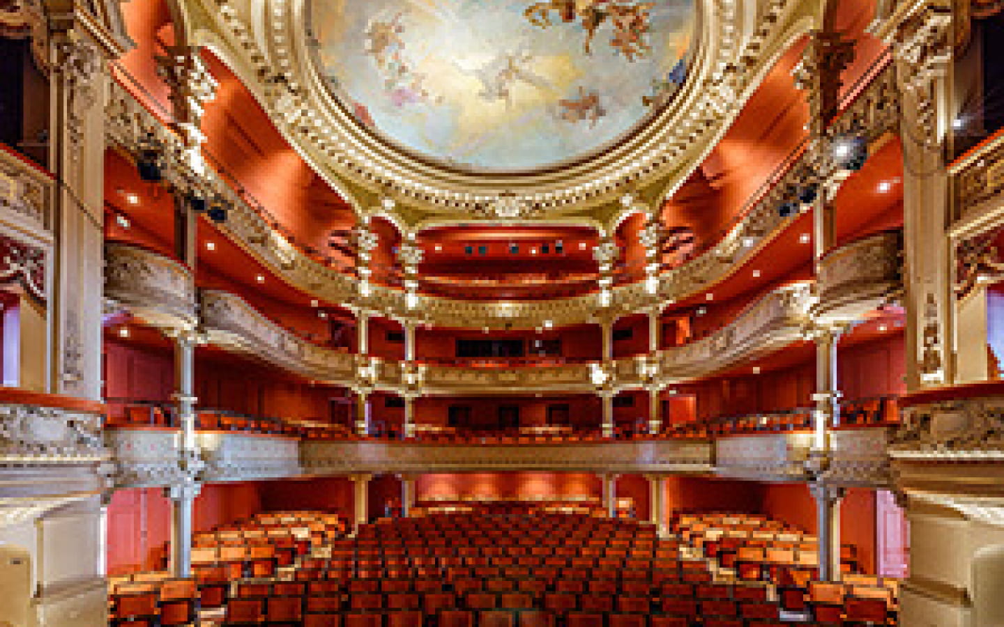 Special guided tour of the 1903 theatre