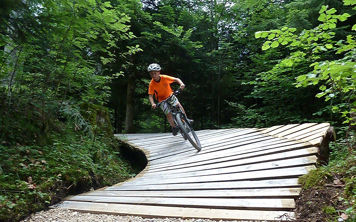 Downhill and DH mountain bike course