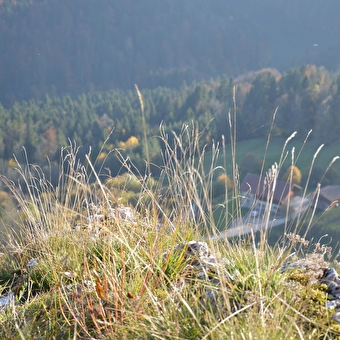 Nordic Walking - La Cendrée - CHARQUEMONT