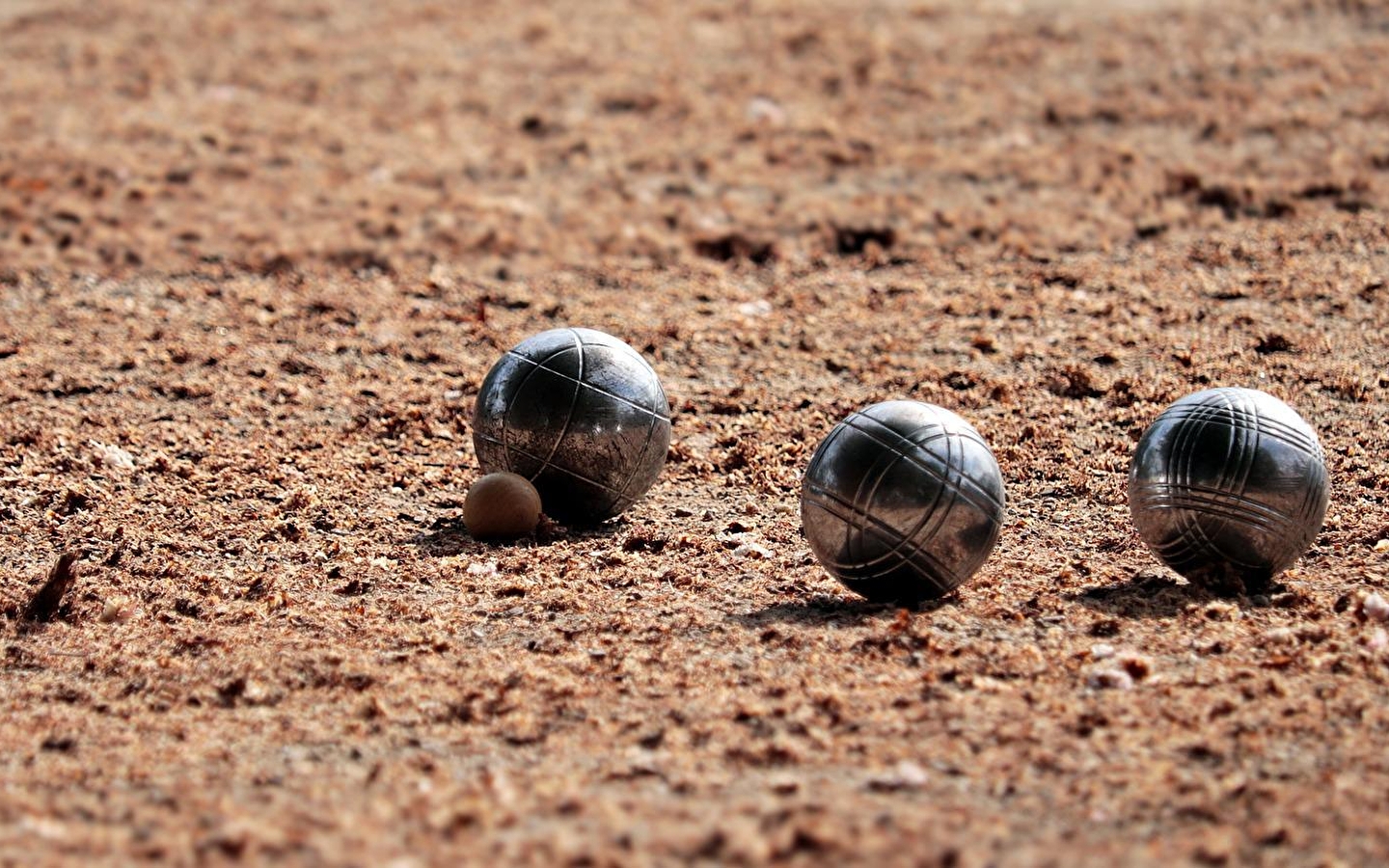 Petanque competition