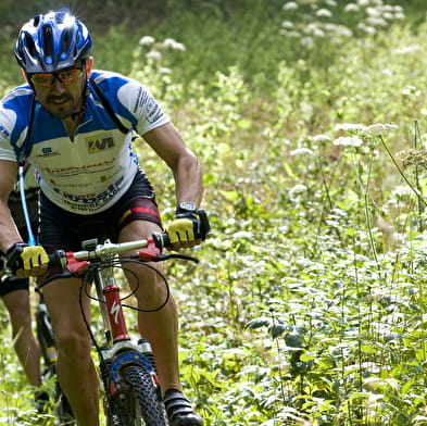 Base VTT Montrevel en Bresse - La Plaine Tonique