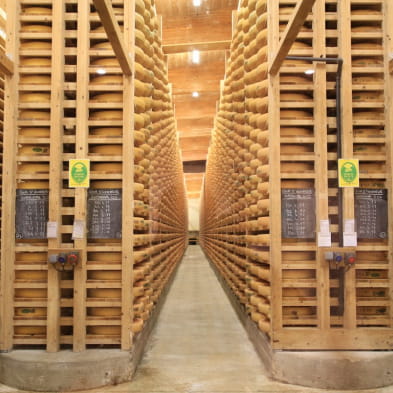 Visit to the Comté cheese maturing cellars
