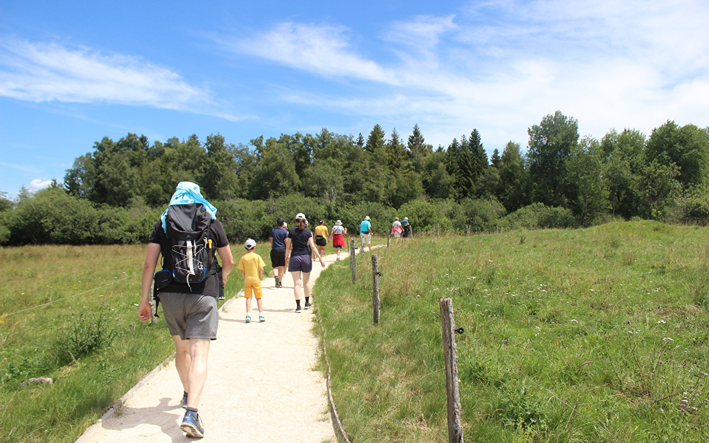 Peat bog walk