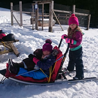 Initiation à la conduite de traîneaux à chiens avec Qimmiq - MIJOUX